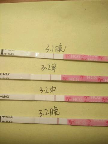 journal_insert_pic_684652092