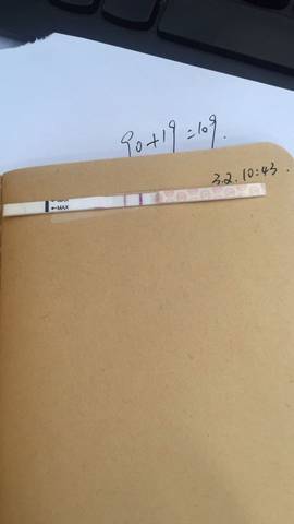 journal_insert_pic_684137026