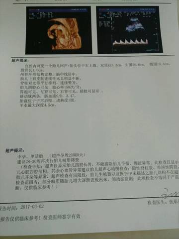 journal_insert_pic_684421106