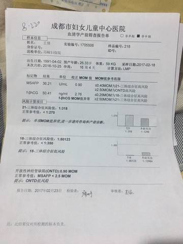 journal_insert_pic_684506206