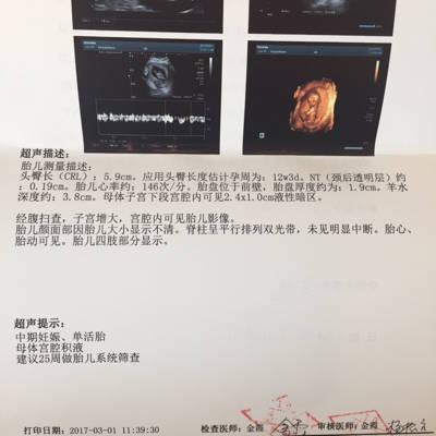 journal_insert_pic_684184127