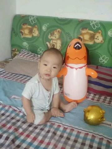 journal_insert_pic_684222221