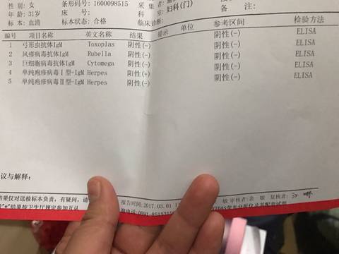 journal_insert_pic_684967584