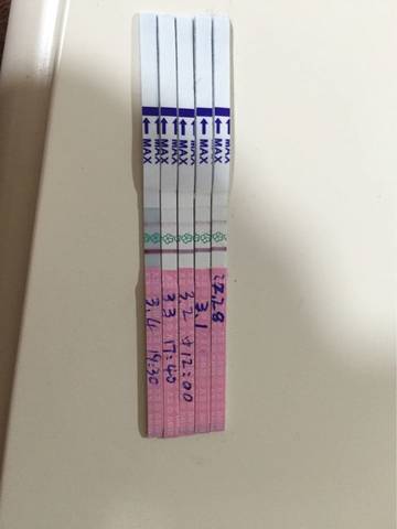journal_insert_pic_685984620