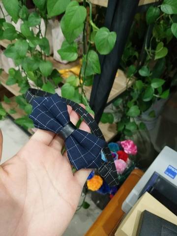 journal_insert_pic_686281170