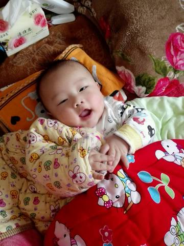 journal_insert_pic_686939256