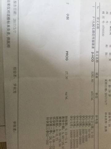 journal_insert_pic_688171823