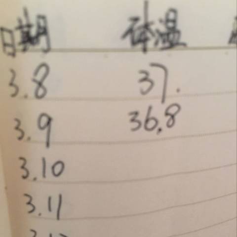 journal_insert_pic_689368133