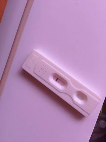journal_insert_pic_689381205