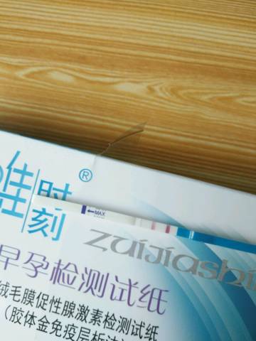 journal_insert_pic_689618293