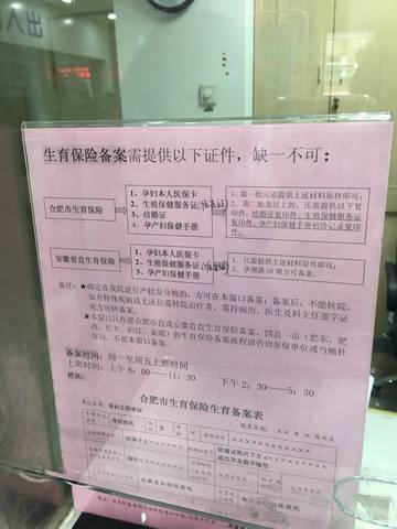 生育津贴查询