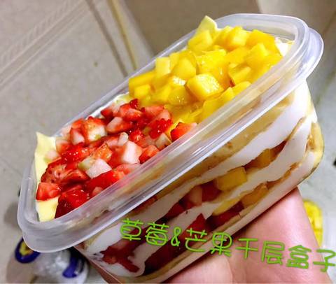 journal_insert_pic_694273466