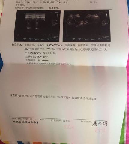 journal_insert_pic_693833361