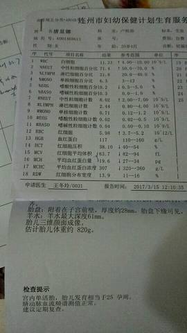 journal_insert_pic_694486572