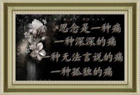 journal_insert_pic_694060878