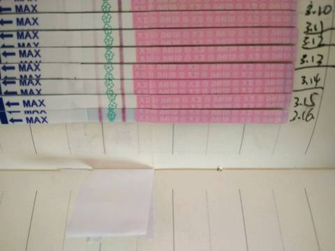 journal_insert_pic_694944147