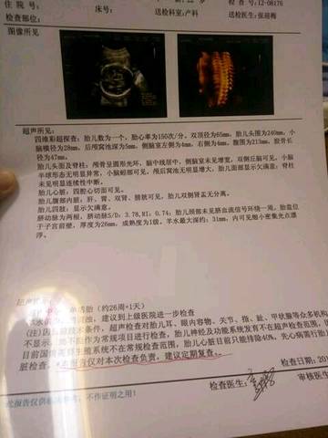 journal_insert_pic_694925586