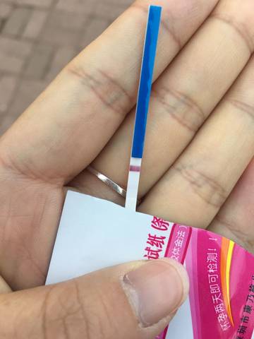 journal_insert_pic_694690076