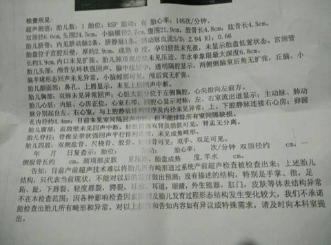 journal_insert_pic_695071623