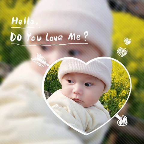 journal_insert_pic_695545517