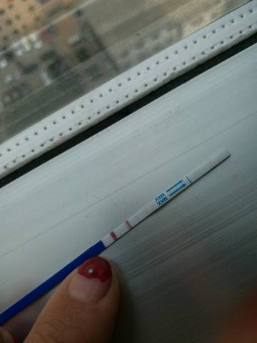 journal_insert_pic_695659341