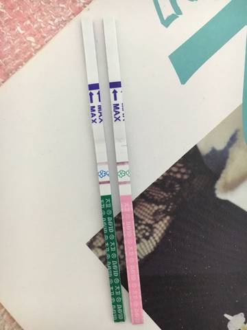 journal_insert_pic_695940623