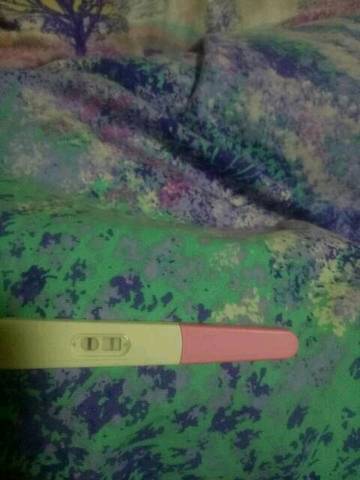 journal_insert_pic_695339565