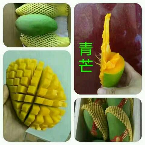 journal_insert_pic_695632244