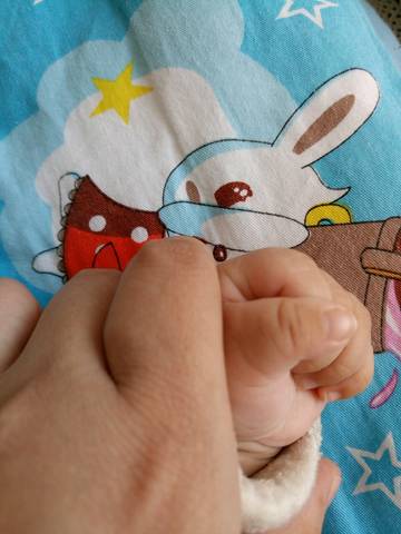 journal_insert_pic_696243582