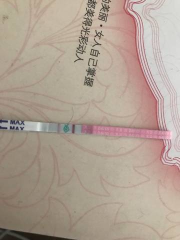 journal_insert_pic_697046491