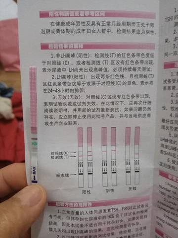 journal_insert_pic_697597651