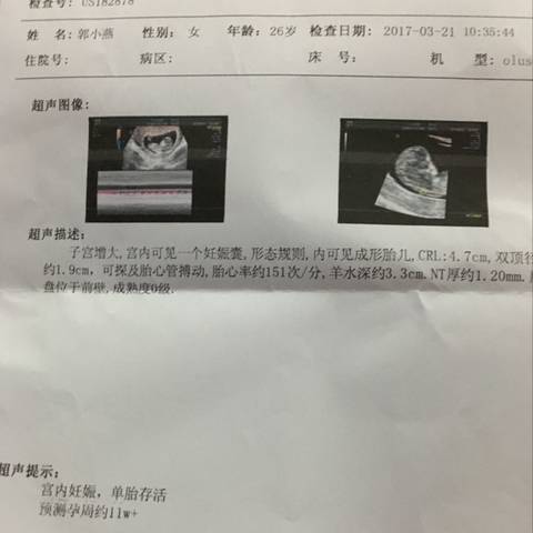 journal_insert_pic_698814864