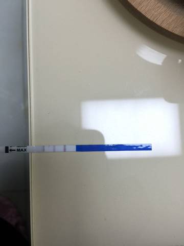 journal_insert_pic_698840367