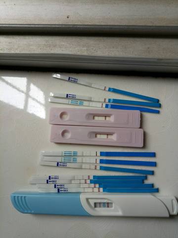 journal_insert_pic_698599599