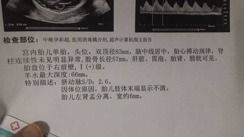 journal_insert_pic_699361826