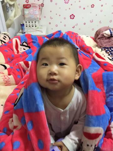 journal_insert_pic_699405205