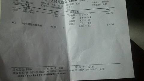 journal_insert_pic_700329128