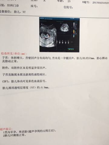 journal_insert_pic_700041470