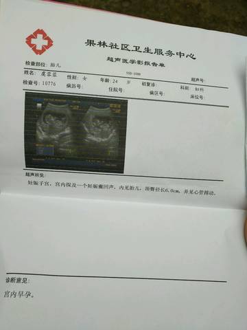 journal_insert_pic_700251195