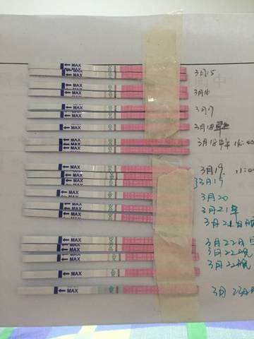 journal_insert_pic_701319313