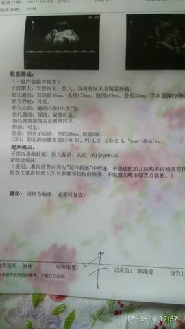 journal_insert_pic_700868251