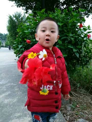 journal_insert_pic_701862788