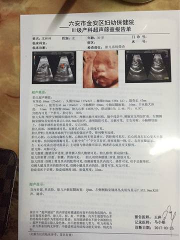 journal_insert_pic_701877719