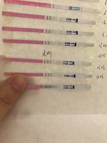 journal_insert_pic_702761608