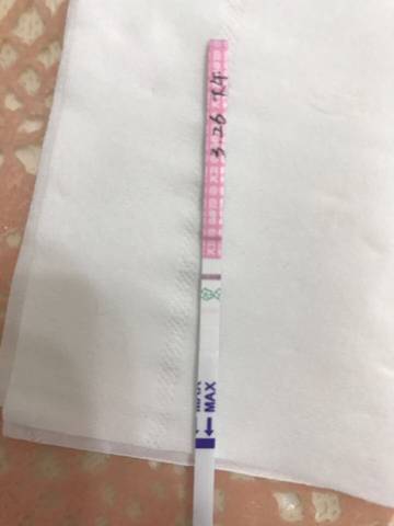 journal_insert_pic_702385125