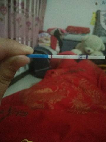 journal_insert_pic_702644517