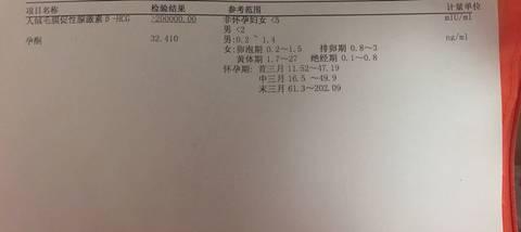journal_insert_pic_703089324