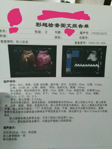journal_insert_pic_703863022
