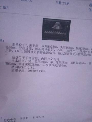 journal_insert_pic_704086338