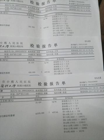 journal_insert_pic_704108117